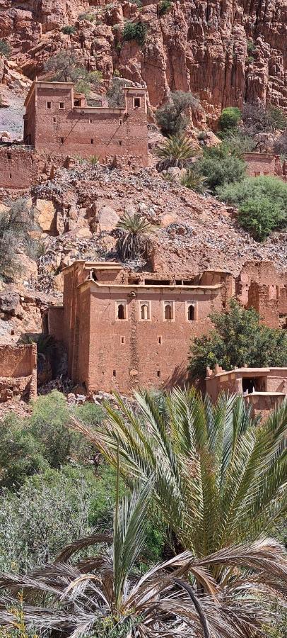 La Maison Traditionnelle Et Affittacamere Tafraout